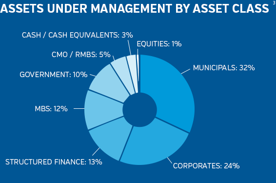 NEAM Assets Under Management by Class