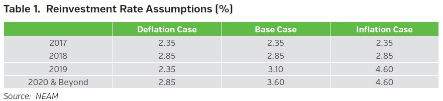 Neam_group_reinvestment_rate_assumptions.jpg