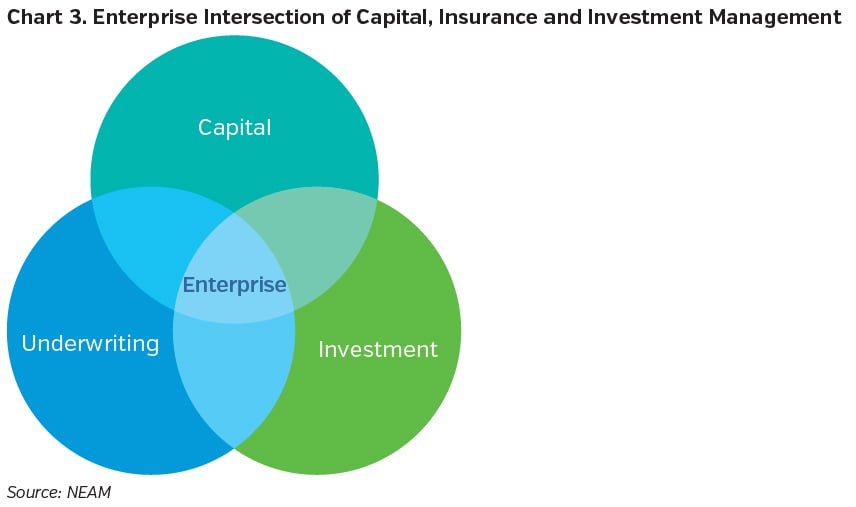 NEAMgroup_enterprise_intersection_of_capital_insurance_investment_management