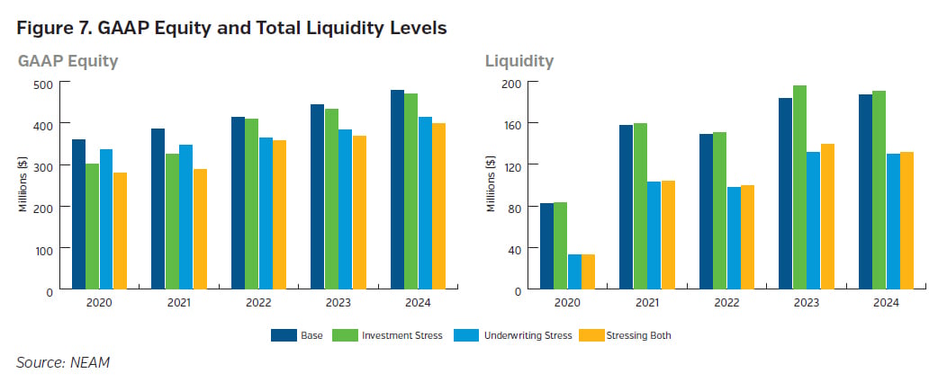 NEAMgroup_GAAP_equity_and_total_liquidity_levels