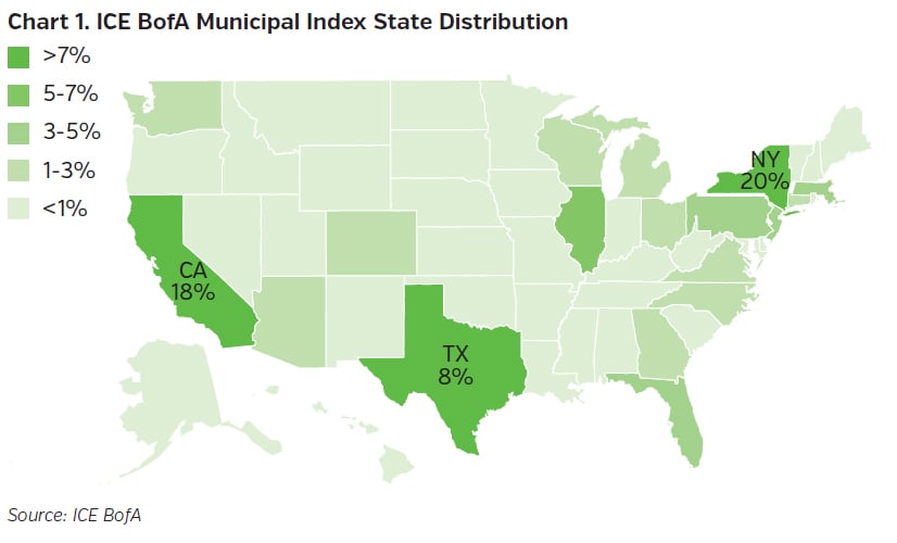 NEAMgroup_municipal_index_state_distribution