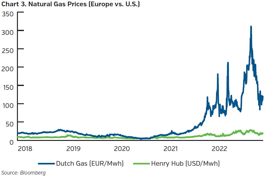 NEAMgroup_natural_gas_prices