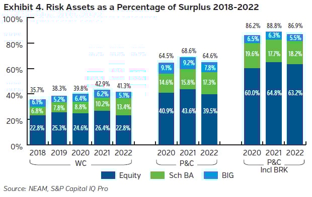NEAMgroup_04_risk_assets_percent_surplus
