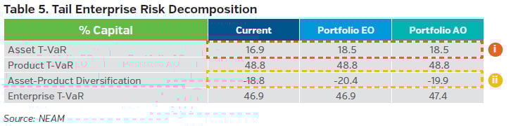 NEAMgroup_05_tail_enterprise_risk_decomposition