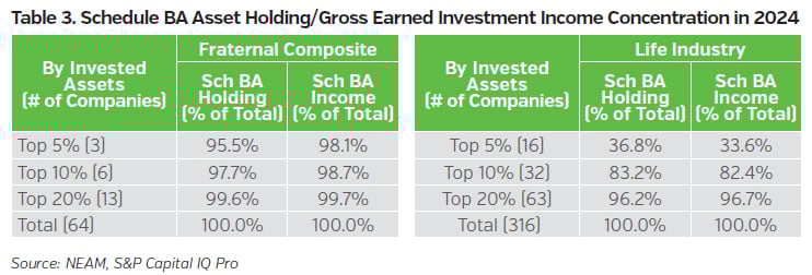 NEAMgroup_schedule_BA_asset_holdings_gross_earned_investment_income