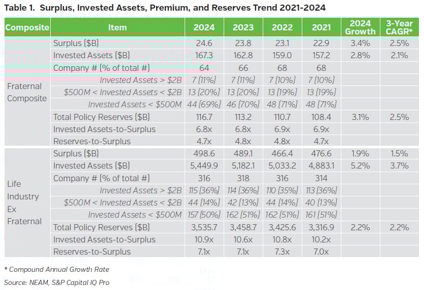NEAMgroup_surplus_invested_assets_premium_reserves_2024