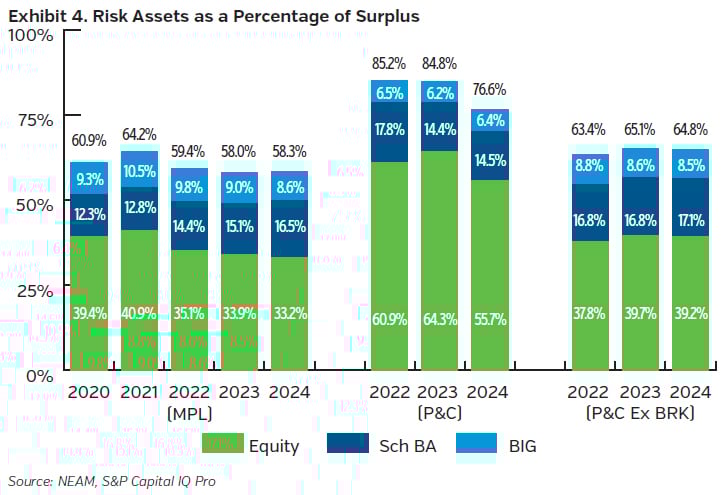 NEAMgroup_risk_assets_percent_surplus