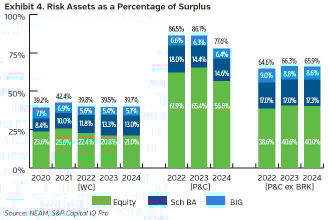 NEAMgroup_04_risk_assets_percentage_surplus