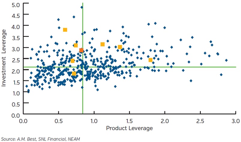 NEAM-Group-Premium-and-Investment-Leverage.png