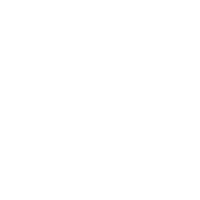 Strategic ESG Governance